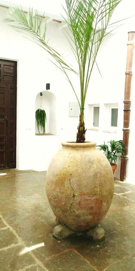 베예데라프론테라 La Fuente 14, Casa Solariega En Pleno Centro 아파트 외부 사진
